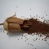семена махорки и табака в Курске